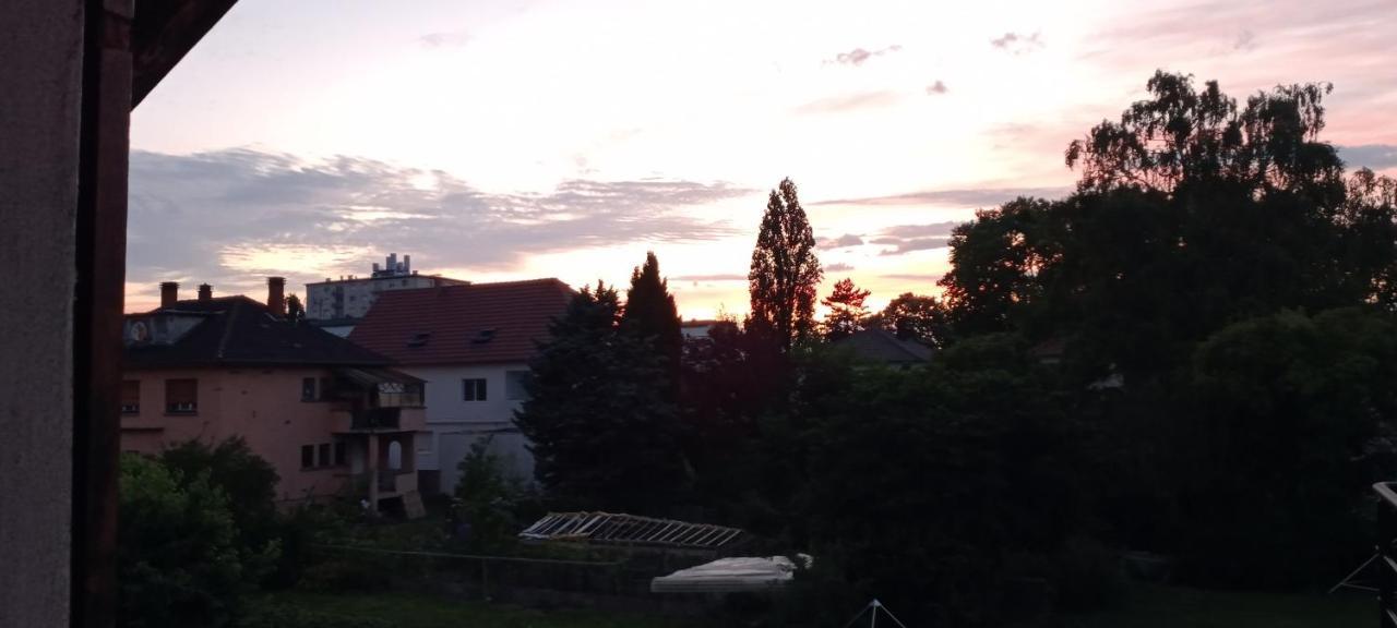 "Le Loft B Bg " Appartement Avec Terrasse G Friendly Strasbourg Eksteriør bilde